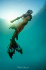 Mermaid Więcej syrenki: https://www.instagram.com/mermaid.to.be/

Fotograf: https://www.instagram.com/michalmuciek/ | https://www.instagram.com/dive.photo.life/