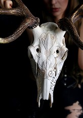 Bartkowiak                             Nawiążę współpracę z fotografem, makijażystą, projektantem etc. na terenie Poznania lub okolic, nie koniecznie TFP. 

Po więcej zapraszam na skull carving Nicole Bartkowiak na FB.             