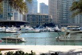 teodora92                             Dubai Marina            