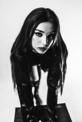 domi_lipska
