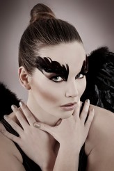 agnes78                             moj black swan:)            