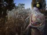 Becauselifeisfun Geiko & Maiko