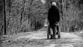 MSFS Miłość na wieki. Zdjęcie wykonane w Lesie Kabackim podczas jednego ze spacerów. Urocza para, która jest ze sobą od ponad 50 lat. Na wózku siedziała małżonka.