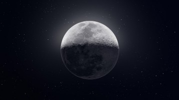 Projektant Moon_Shield