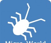 Micro-World