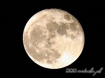 Fotograf www.mediala.pl