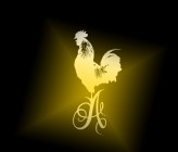 ROOSTER_PHOTOGRAPHY