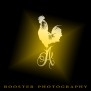 ROOSTER_PHOTOGRAPHY