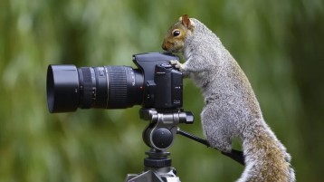 Fotograf Catcheyes