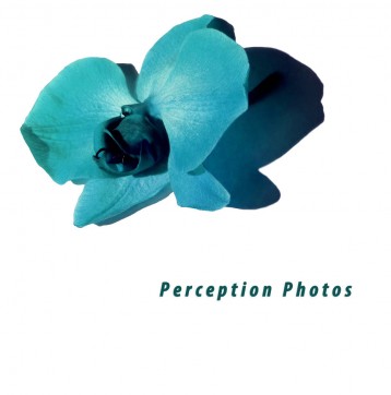 Fotograf Perception_Photos_eu