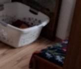 Kaja_Legecka