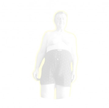 Model Lesz1