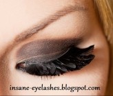 insane-eyelashes