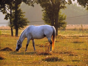 Fotograf bartekswdn