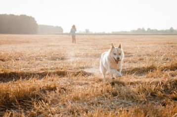 Fotograf ewoluszyn