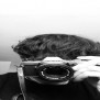 Photooveryou