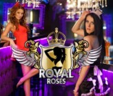 royalrosespl