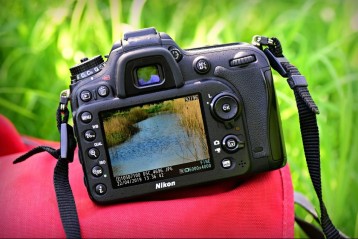 Fotograf BozenaBodziony