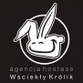 wsciekly-krolik