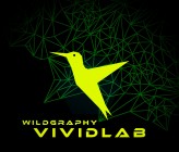 VividLab