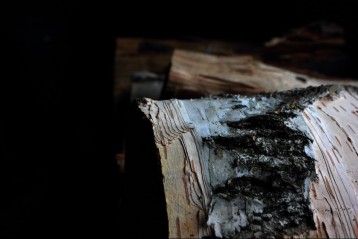 Fotograf m_wisniewskiart