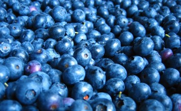 Fotograf black-blue-berry