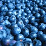 black-blue-berry