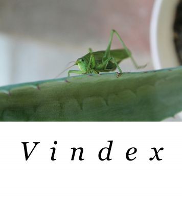 Fotograf vindex