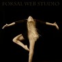 foksal-web-studio