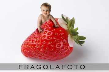 Fotograf fragolafoto