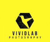 VividLab