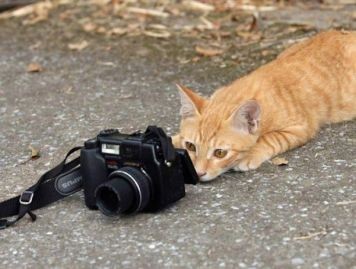 Fotograf dorota.maj22